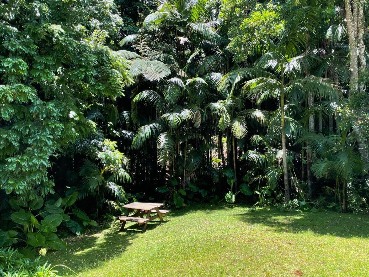Romantic Cottage, Tamborine Mountain ภายนอก รูปภาพ